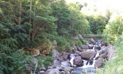 Balme Manutenzione Forestale Prima